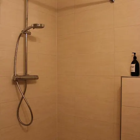 Stilvolle Altbauwohnung - Parkplatz, Wlan, Netflix, Zentrum باد سشاندو