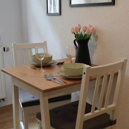 Stilvolle Altbauwohnung - Parkplatz, Wlan, Netflix, Zentrum شقة باد سشاندو